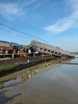 WhatsApp Image 2024-01-05 at 09.39.04