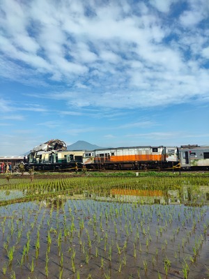 WhatsApp Image 2024-01-05 at 09.38.52