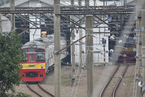 DSC_0462_R