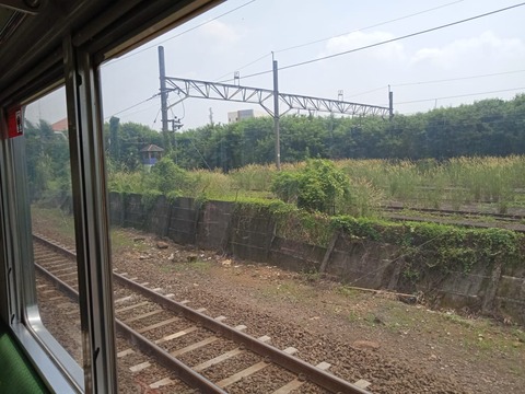 WhatsApp Image 2021-04-29 at 11.50.05