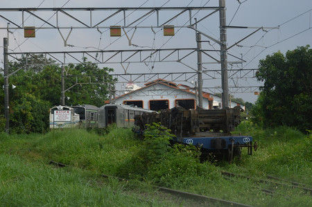 Dsc_0445_r Dsc_0445_r