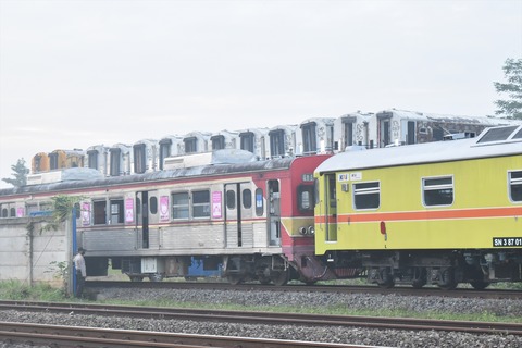 DSC_0439_R
