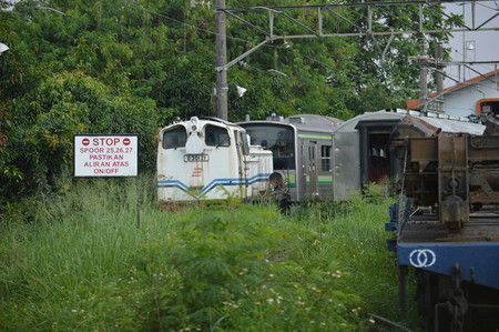 Dsc_0447_r Dsc_0447_r