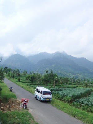 1933624_153916598003627_879014_o