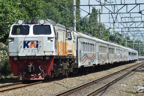 DSC_0594_R