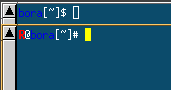 coorful user