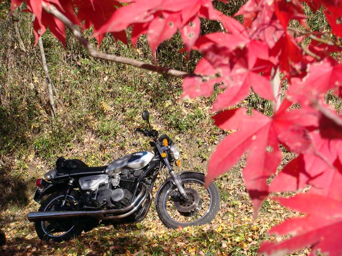 GX750 徒然雑記 GX750Ⅱがやってきた : バチモン隠居 よろず探訪