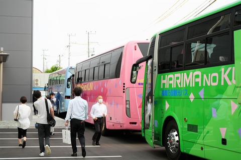 4f35d229.jpg