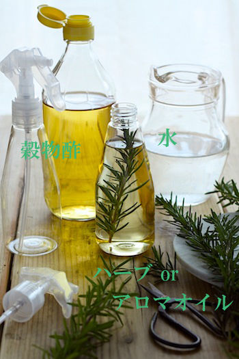 enoki_1223_02b