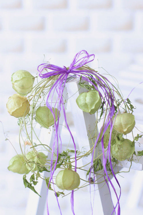 風船かずらのナチュラルドライリース