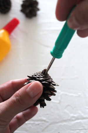 2.松ぼっくりにキリで小さな穴をあけます。 　少し固いので、怪我をしないように大人の方があけてくださいね。