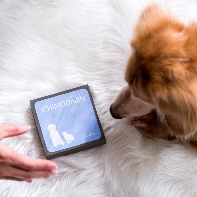 ペットの抜け毛のお悩みを解消! ランニングコスト0円の便利グッズ