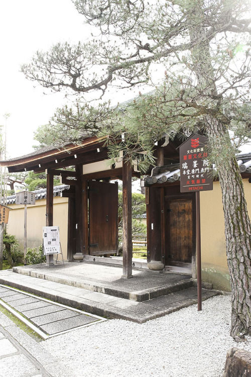 普段着物で楽しむ京都 その3 　～大徳寺 瑞峰院～