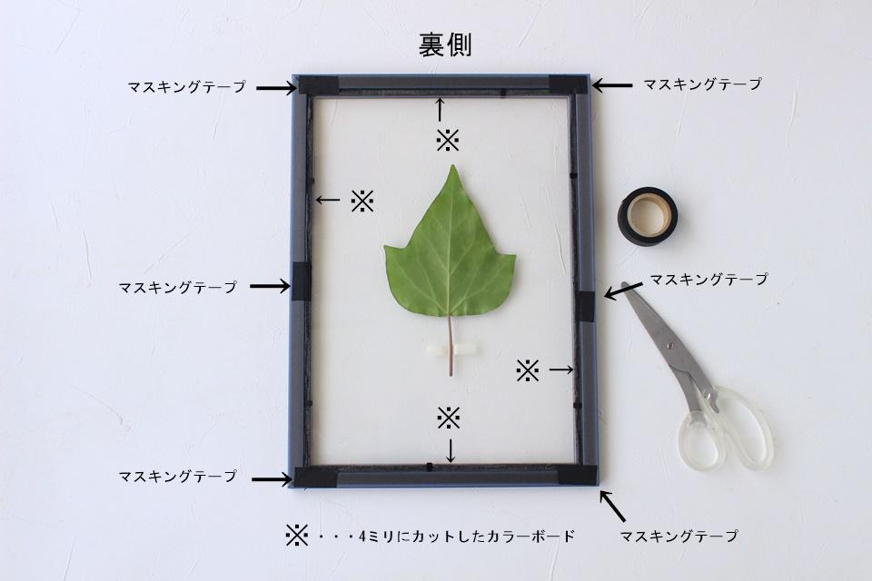 夏休みの自由研究に 100均で簡単 フローティングフレーム の作り方 窪田千紘フォトスタイリングwebマガジン Klastyling Powered By ライブドアブログ