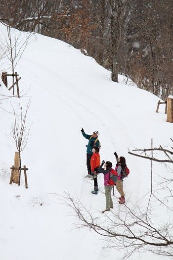 2月半ばの東北の里山は雪に深々と覆われているため、 足元を気遣いながら特にゆっくりゆっくりと。