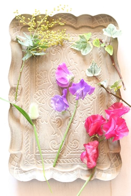 春の花を愉しむ&簡単・壁づけ収納棚