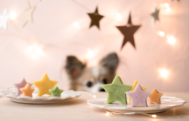 犬 いぬ クリスマス ごはん レシピ 作り方 手作り わんこ