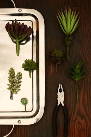 インテリアグリーンにフェイク多肉植物
