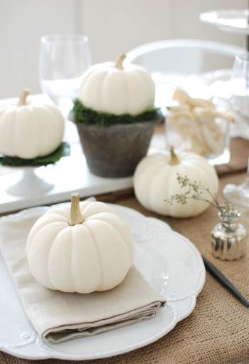 今年のハロウィンはホワイトパンプキン!