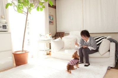 インタビュー祐天寺さん