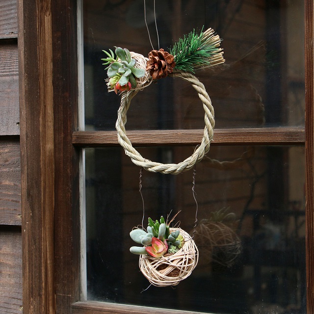 多肉植物でお正月リース 100均のしめ縄とラタンボールを使ったアレンジ 窪田千紘フォトスタイリングwebマガジン Klastyling Powered By ライブドアブログ