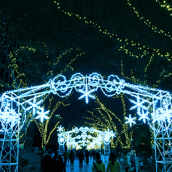 42ktoyohara_20151224_003