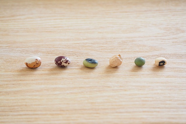 jhkawaguchi_20160202_007