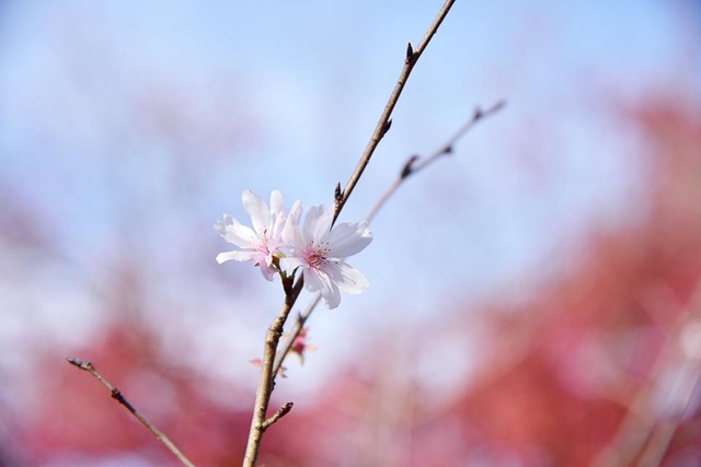 06