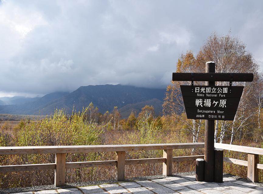 栃木ぶらり花の旅 奥日光 戦場ヶ原の絶景 前編 窪田千紘フォトスタイリングwebマガジン Klastyling Powered By ライブドアブログ 栃木ぶらり花の旅 奥日光 戦場ヶ原の絶景 前編 窪田千紘フォトスタイリングwebマガジン Klastyling Powered By ライブドアブログ