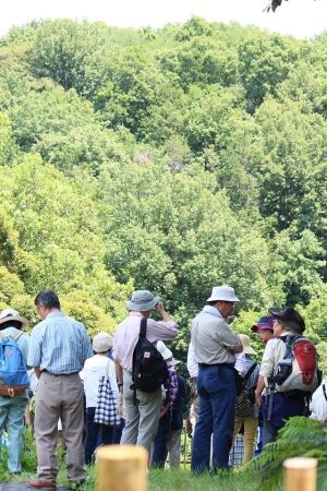 高崎観光大使おすすめ!高崎市染料植物園