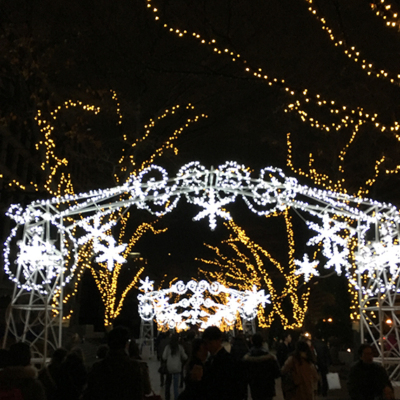 42ktoyohara_20151224_011