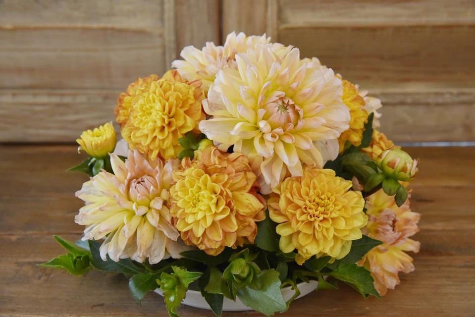 ダリアの飾り方 テーブルが華やかになるラウンドアレンジメントの基本 窪田千紘フォトスタイリングwebマガジン Klastyling Powered By ライブドアブログ