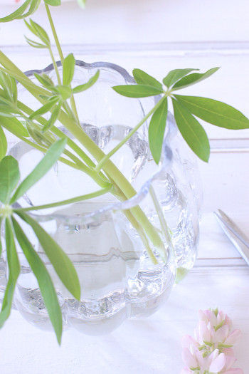 器の中でバラけるより、 まとまっていた方が きれいに見えます。