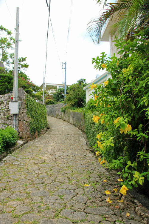 miyazak_20140829_10