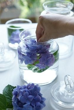 sasaki_11_07_05
