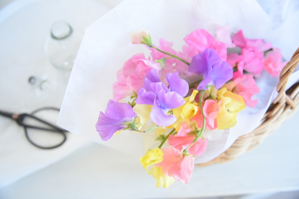 四季の花便り 春の花 スイートピーの愉しみ方 窪田千紘フォトスタイリングwebマガジン Klastyling Powered By ライブドアブログ 四季の花便り 春の花 スイートピーの愉しみ方 窪田千紘フォトスタイリングwebマガジン Klastyling Powered By ライブドアブログ
