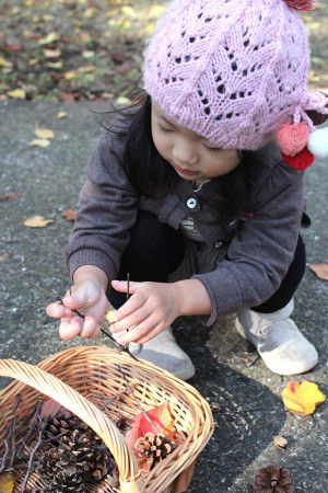小さな木の枝と松ぼっくりをたくさん拾ってきました。 自然の恵みを少しだけお裾分けしてもらいます♪