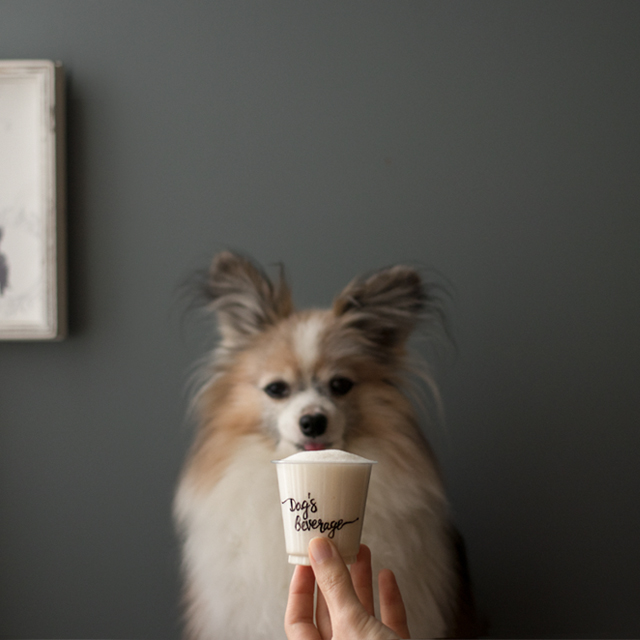 100均アイテムでドッグカフェ気分♪ 犬のためのソイパプチーノ