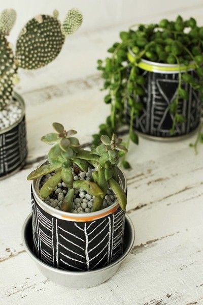 ※缶に直接植物を植える場合は、根腐れ防止に 底に水抜き用の穴をあけておきましょう。 お皿やカップなどの水受け皿をお忘れなく!