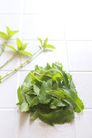 ミントの葉をきれいに洗い、 茎と葉に分けます。
