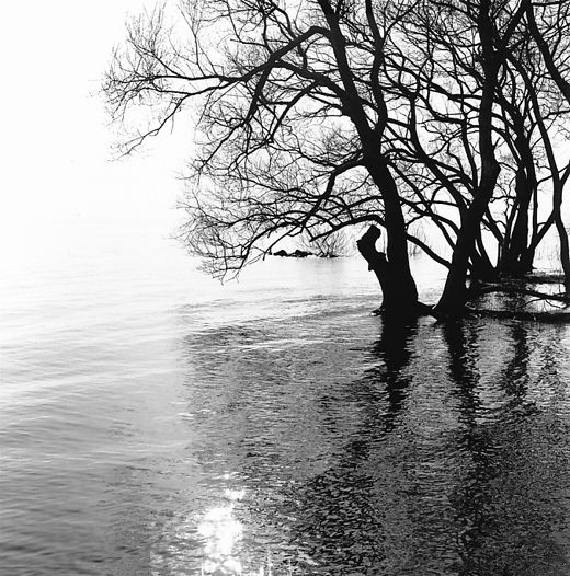 壁に穴を開けなくても大丈夫！簡単＆おしゃれなアートコーナー