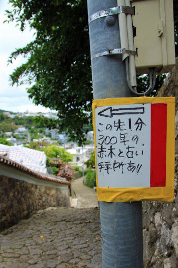 電信柱に手書きの看板。 「この先1分 300年の赤木と 古い拝所あり」 行ってみます。