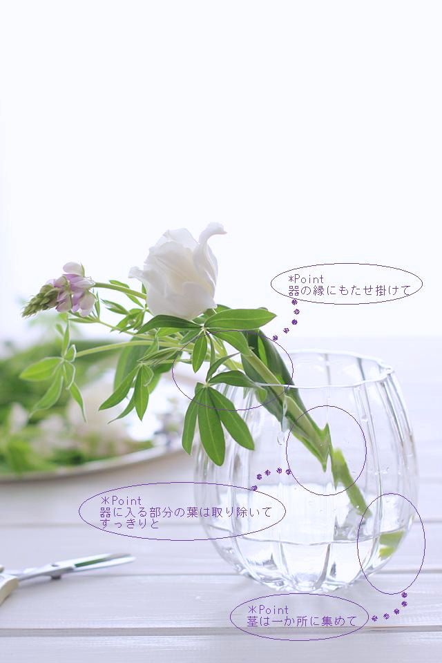 さささっと投げ入れ 春の花をいけましょう 窪田千紘フォトスタイリングwebマガジン Klastyling Powered By ライブドアブログ
