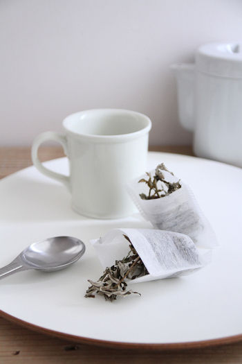 日本のいいものを再発見!額皿とよもぎ茶