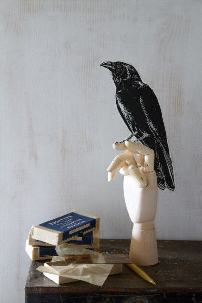 きゃ～！ デッサン用の手の模型の上にカラスが～～～