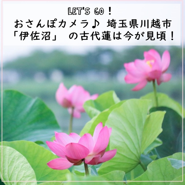 00b