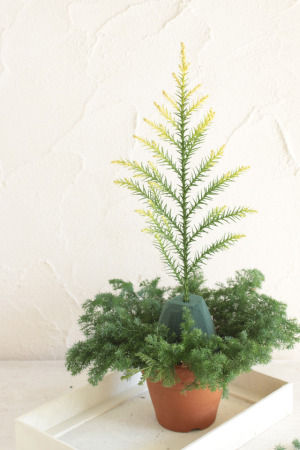 フラワーアレンジでクリスマスツリー