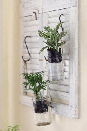 mwako_0711_02 水やり不要!空きビンで観葉植物を水栽培
