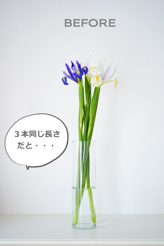 丹後の節句 アイリス アレンジ 花色配色 こどもの日