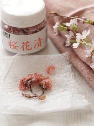 OLYMPUS DIGITAL CAMERA 桜鯛の桜カルパッチョ